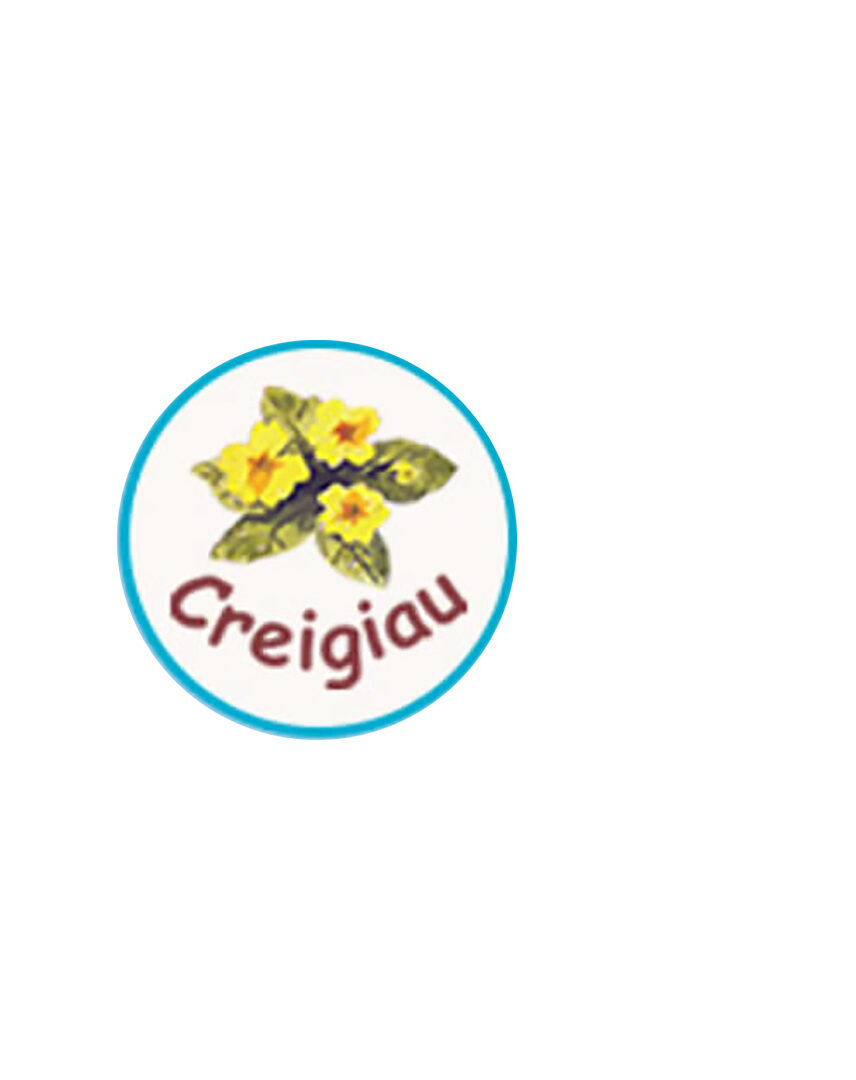 Creigiau Primary