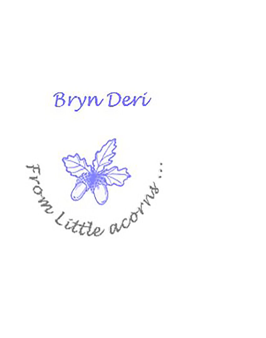 Bryn Deri Primary 