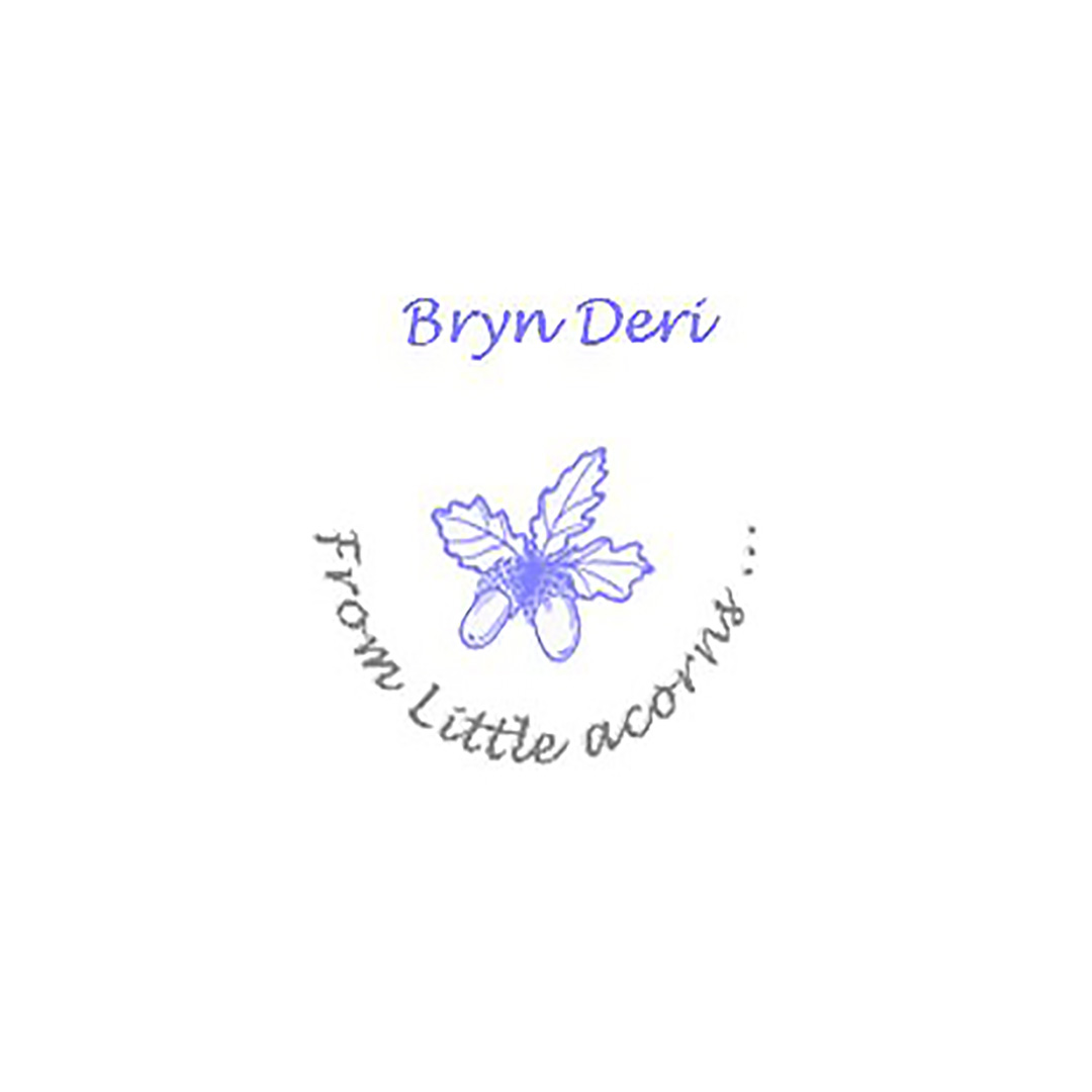Bryn Deri Primary 