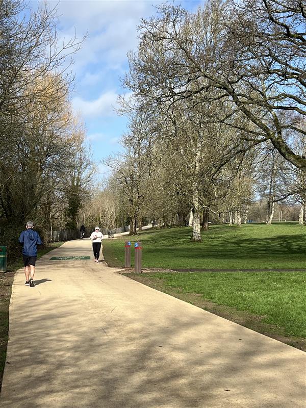 Male and female runners running on a tree lined buff coloured path through a park on a sunny day. Green share with Care path marking visible on the path surface