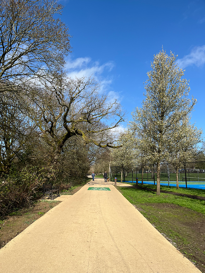 Male and female walking on a tree lined buff coloured path through a park on a sunny day.